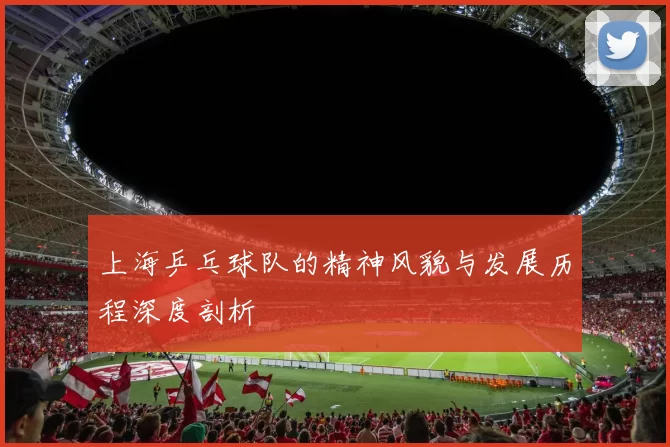 上海乒乓球队的精神风貌与发展历程深度剖析