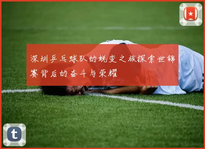 深圳乒乓球队的蜕变之旅探索世锦赛背后的奋斗与荣耀