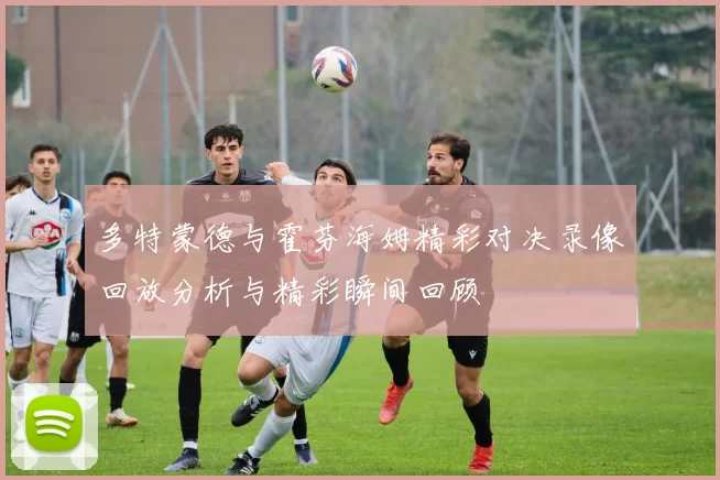 多特蒙德与霍芬海姆精彩对决录像回放分析与精彩瞬间回顾
