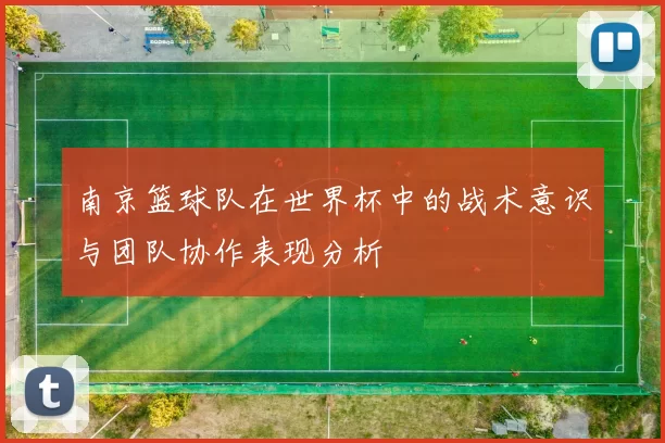 南京篮球队在世界杯中的战术意识与团队协作表现分析