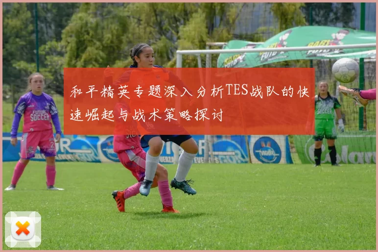 和平精英专题深入分析TES战队的快速崛起与战术策略探讨