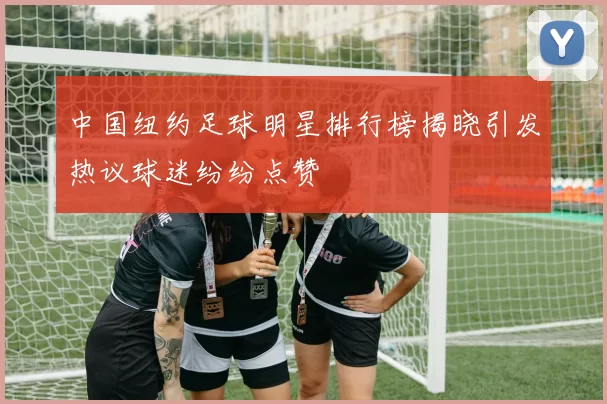 中国纽约足球明星排行榜揭晓引发热议球迷纷纷点赞