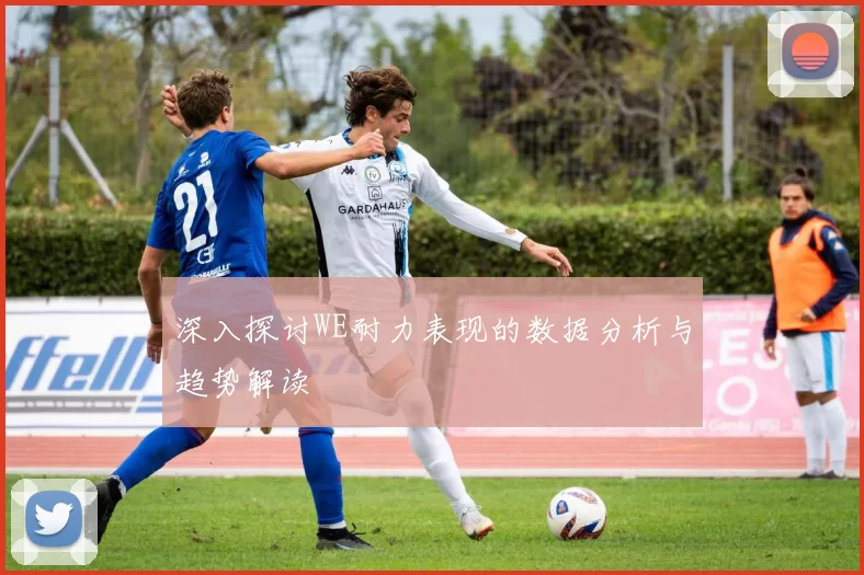 深入探讨WE耐力表现的数据分析与趋势解读