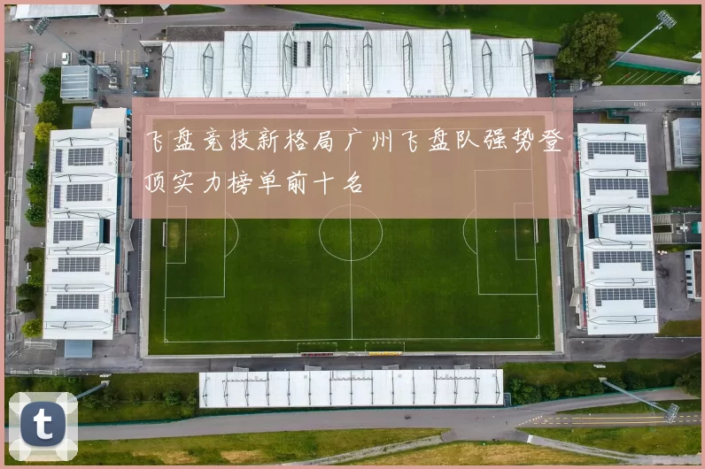飞盘竞技新格局广州飞盘队强势登顶实力榜单前十名