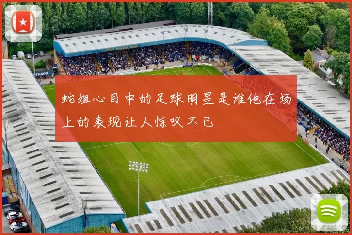 蛇姐心目中的足球明星是谁他在场上的表现让人惊叹不已