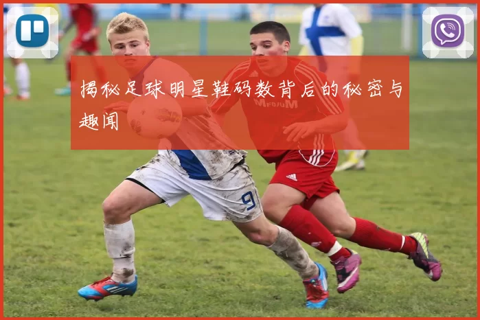 揭秘足球明星鞋码数背后的秘密与趣闻