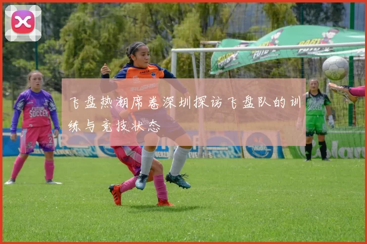 飞盘热潮席卷深圳探访飞盘队的训练与竞技状态