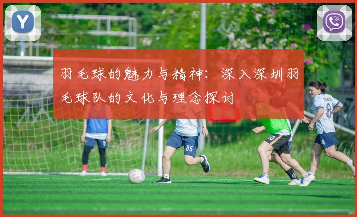 羽毛球的魅力与精神：深入深圳羽毛球队的文化与理念探讨