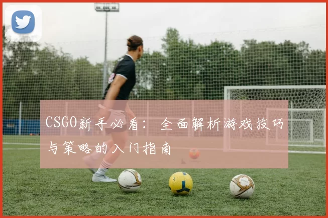 CSGO新手必看：全面解析游戏技巧与策略的入门指南