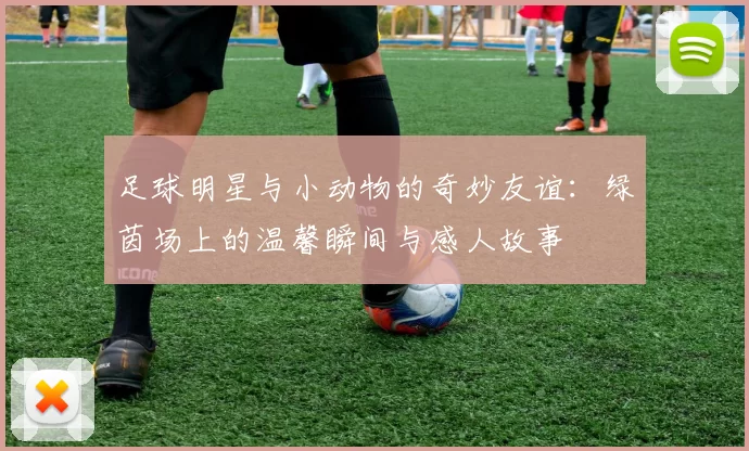 足球明星与小动物的奇妙友谊：绿茵场上的温馨瞬间与感人故事