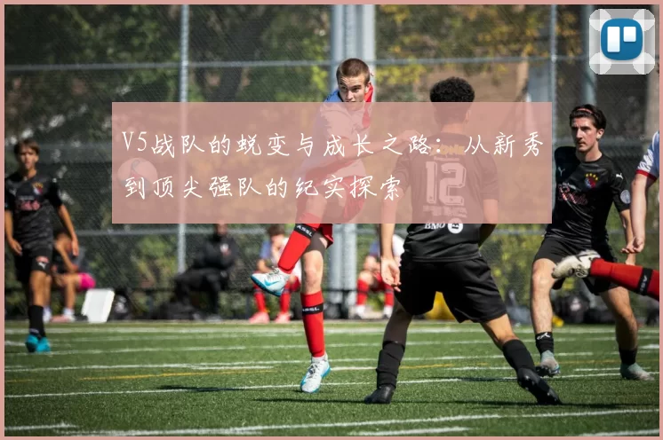 V5战队的蜕变与成长之路：从新秀到顶尖强队的纪实探索
