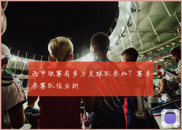 西甲联赛有多少支球队参加？赛季参赛队伍分析