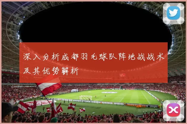 深入分析成都羽毛球队阵地战战术及其优势解析