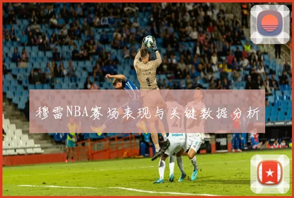 穆雷NBA赛场表现与关键数据分析