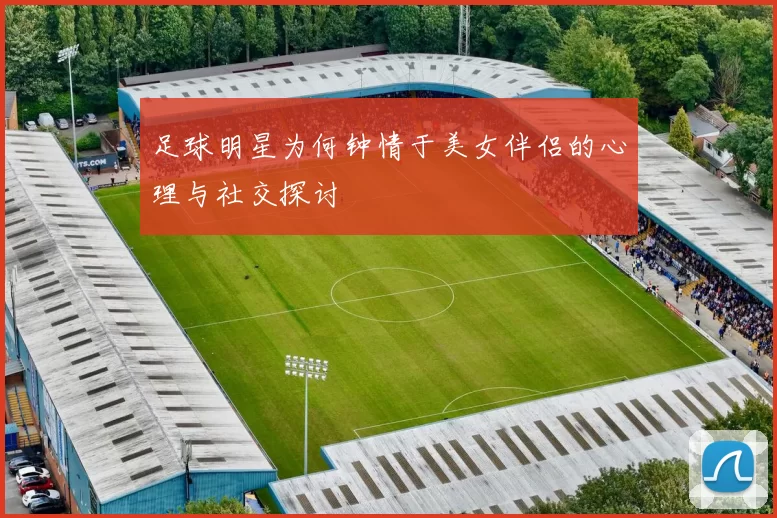 足球明星为何钟情于美女伴侣的心理与社交探讨