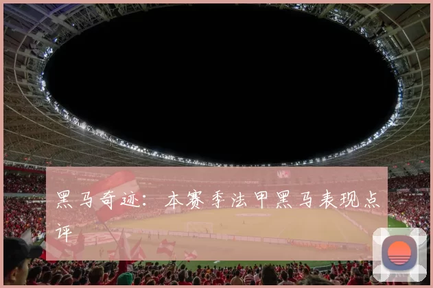黑马奇迹：本赛季法甲黑马表现点评