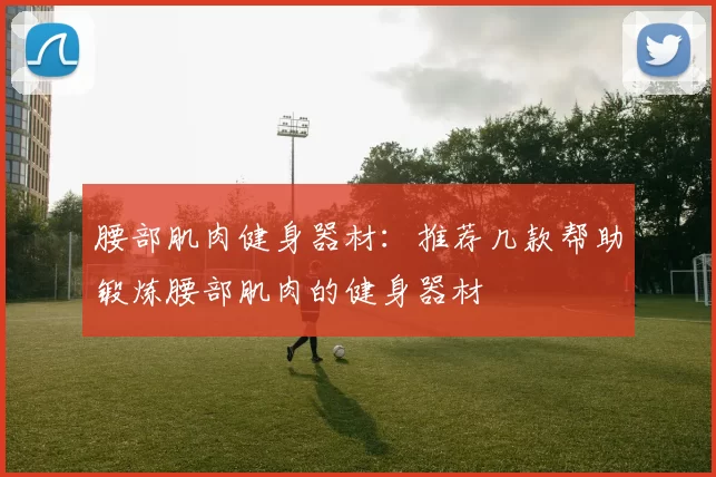 腰部肌肉健身器材：推荐几款帮助锻炼腰部肌肉的健身器材