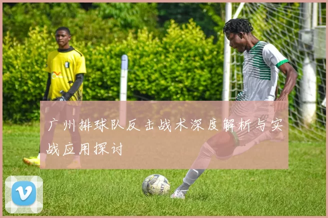 广州排球队反击战术深度解析与实战应用探讨