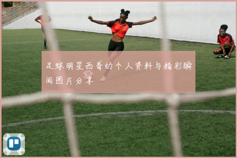 足球明星西哥的个人资料与精彩瞬间图片分享