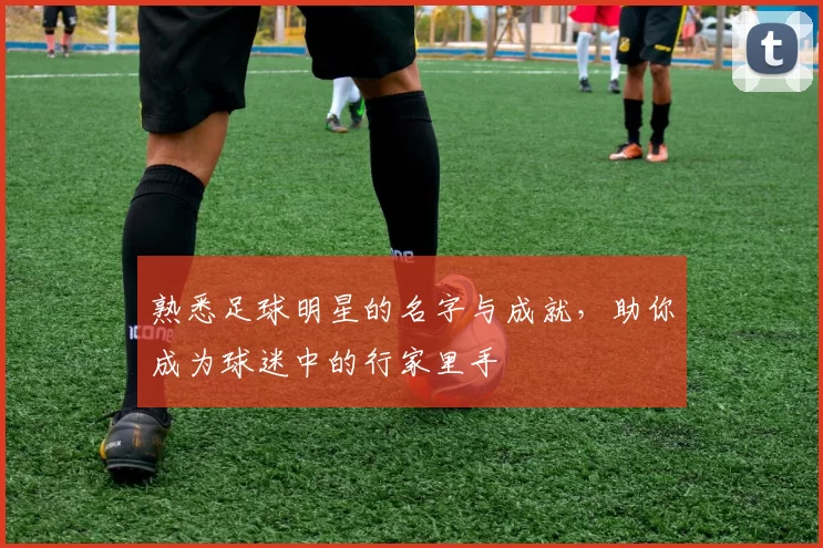 熟悉足球明星的名字与成就，助你成为球迷中的行家里手