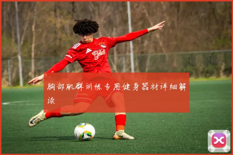 胸部肌群训练专用健身器材详细解读