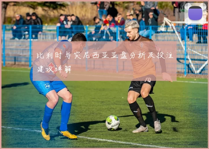 比利时与突尼西亚亚盘分析及投注建议详解