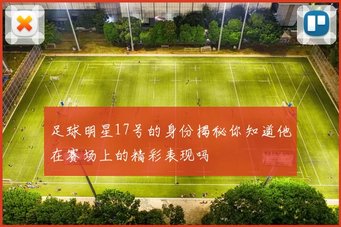 足球明星17号的身份揭秘你知道他在赛场上的精彩表现吗