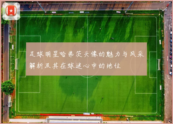 足球明星哈弗茨头像的魅力与风采解析及其在球迷心中的地位
