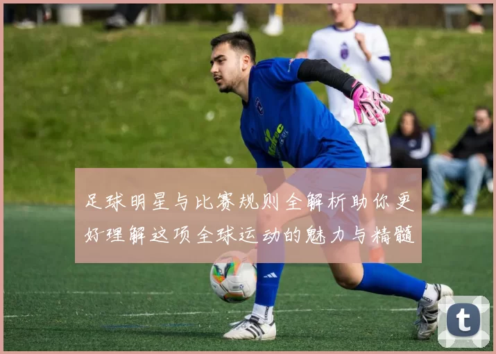 足球明星与比赛规则全解析助你更好理解这项全球运动的魅力与精髓