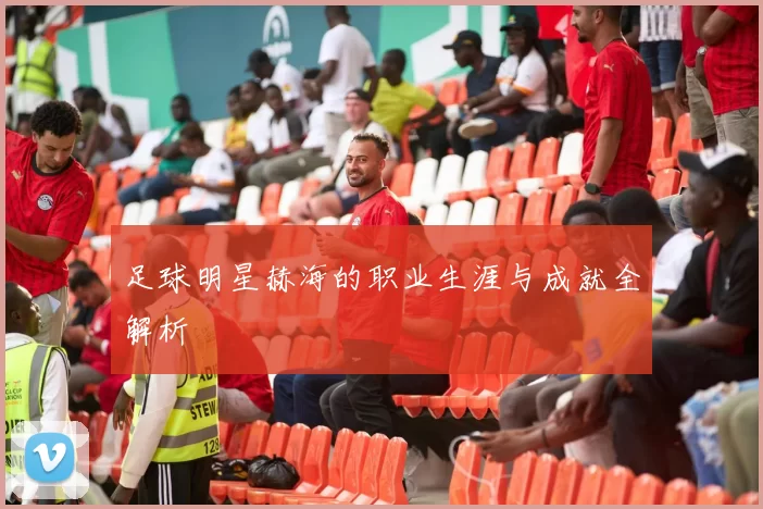 足球明星赫海的职业生涯与成就全解析